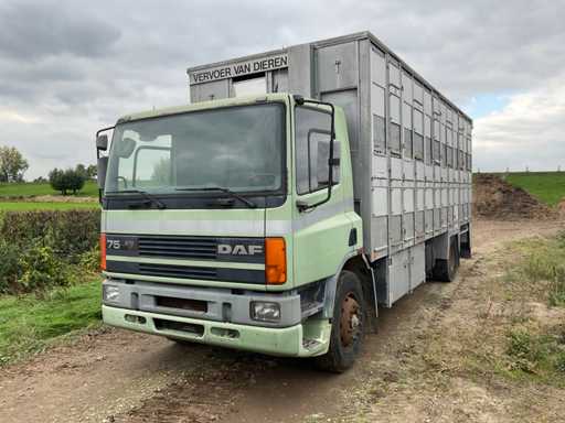1993 Daf CF 270 Veevervoer bakwagen langzaam verkeer