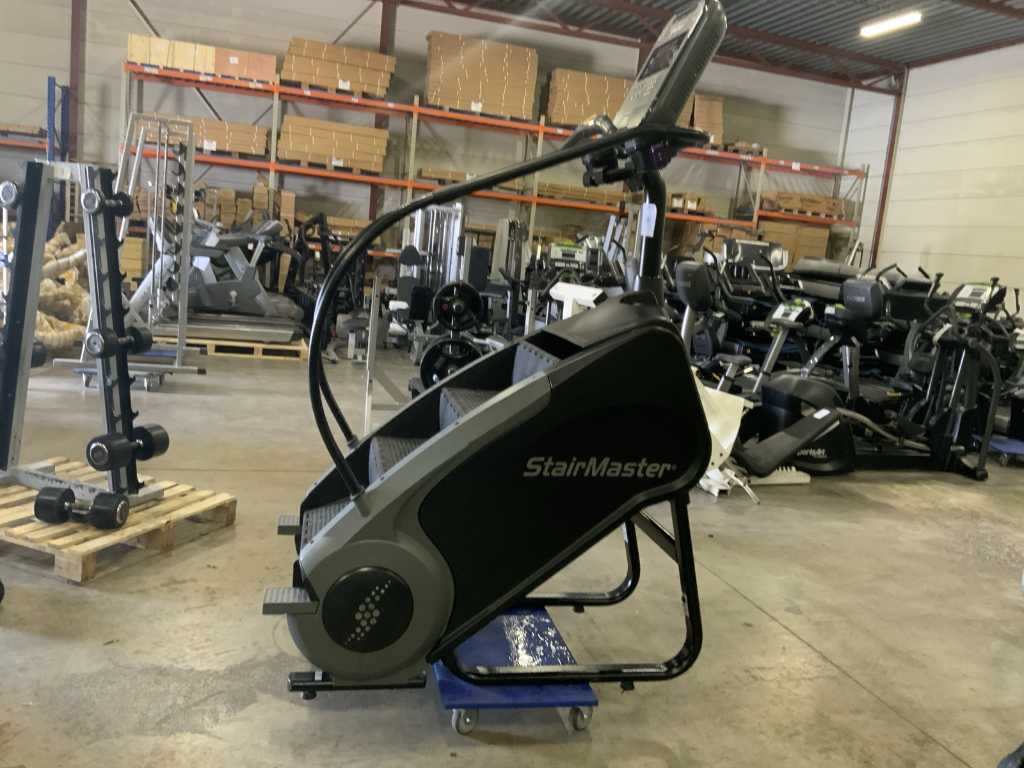 Startrac Gaunlant alpinist pe scări Crosstrainer