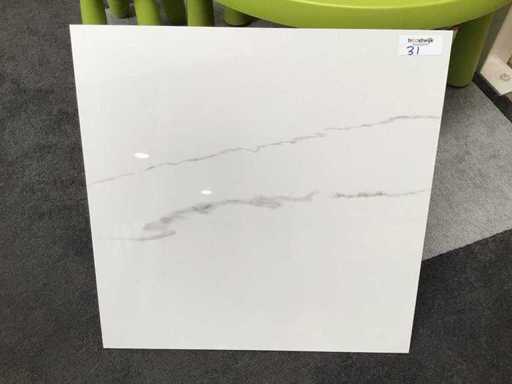 Kutahya Statuario Gepolijst 60x60 cm tegel 54 m²