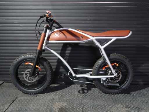 Rayvolt Ringo Silver 36V16AH Battery