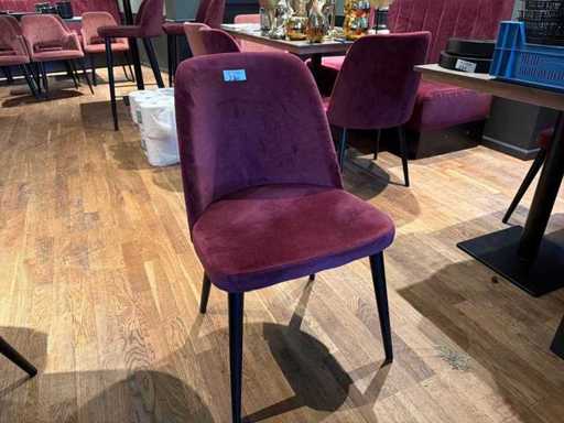 Sedia del ristorante Vervoort (12 volte)