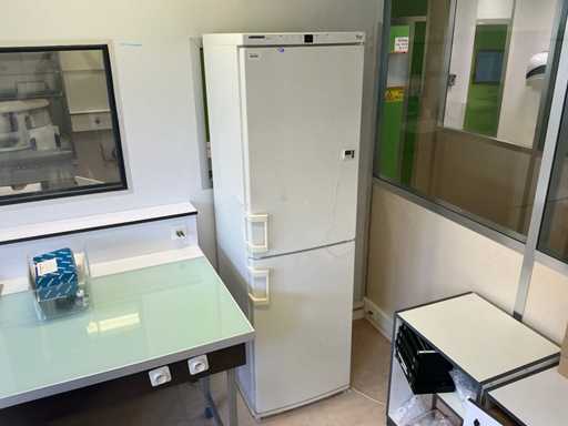 Liebherr - Comfort - Koelkast-vriezer combinatie