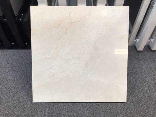 Natuursteen Marmer Beige Gepolijst Tegel 60x60x2 cm 54 m²