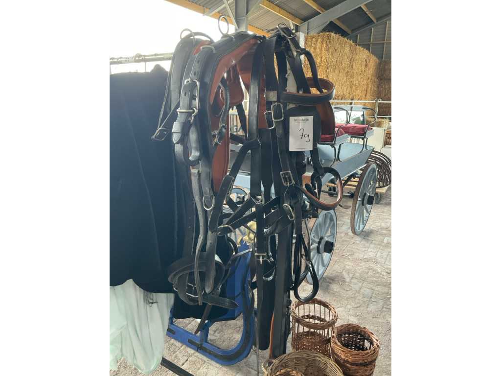 In our showroom we have a large - Van Der Wiel Harness