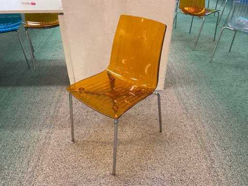 Presidente della riunione Papatya X-Treme (70 volte)