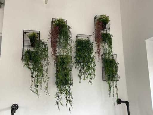 Wandrek met kunstplant (6x)