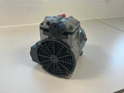 Thomas INTL 200 Pompa