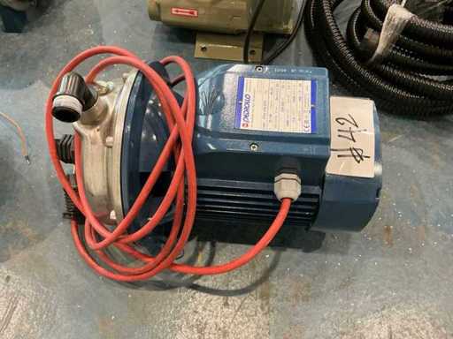 Pedrollo CPm 170-STA Stainless Steel Centrifugal Pump - Water Pump