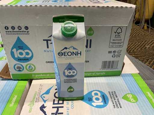 Theoni Natürliches Mineralwasser 500ML (990X)