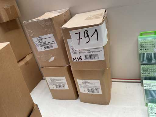 Ringen M 16 en moeren