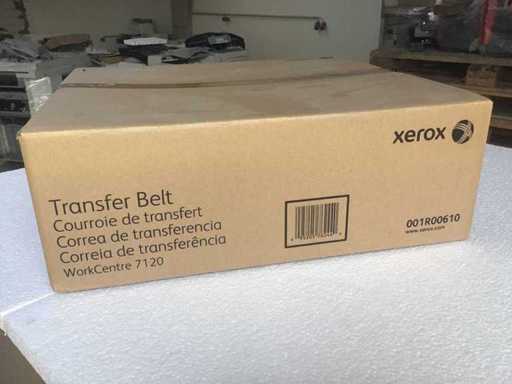 Xerox - 008R13086 - Transferriem