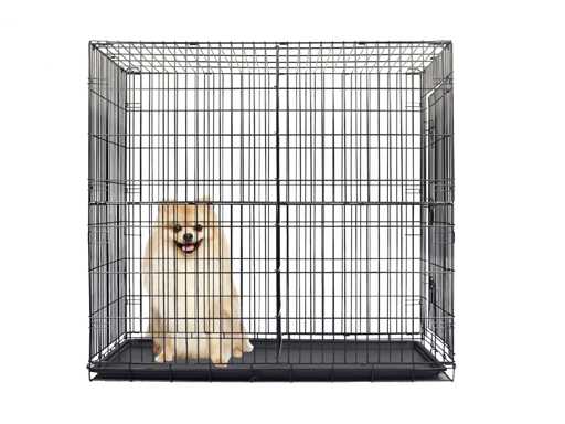 Cuccia per cani Maxxpet 88405 (17x)