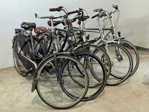 Fiets ( 5x )