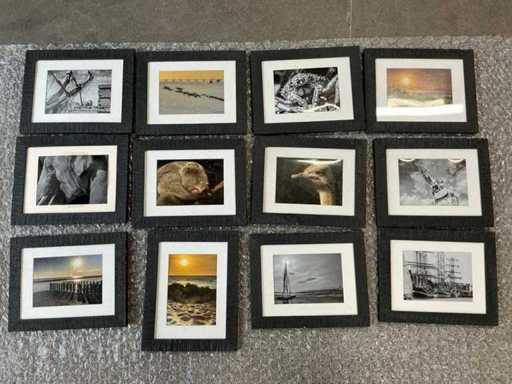 Photo frame with print (12x)