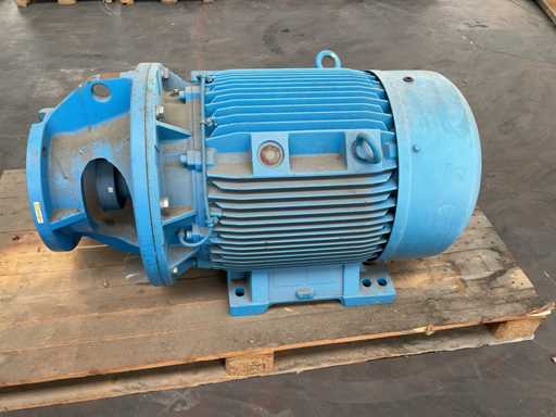 Motor eléctrico Siemens 2019