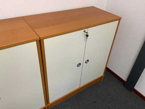 Office cabinet (5x)