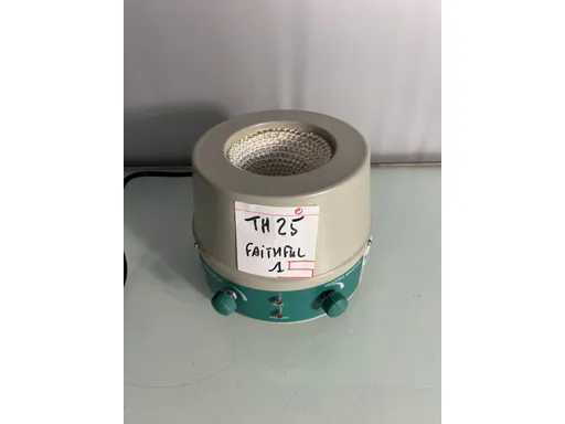 Faithful - Scaldapalloni