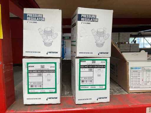Netafim-Druckregler 2512 (2x)