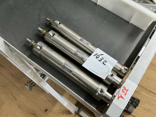 SMC Pneumatische rvs actuator