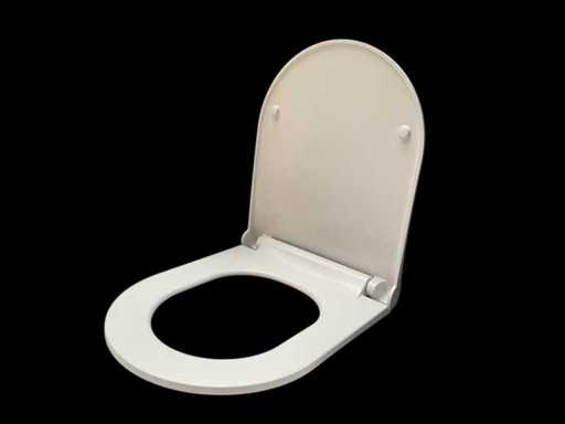 Toiletzitting softclose en uitneembaar mat wit