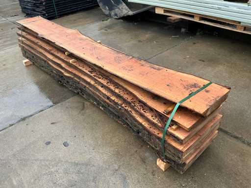 Amerikanische Eiche (0,475 m³)