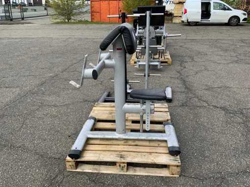 Gym80 Signum biceps curl Krachtstation