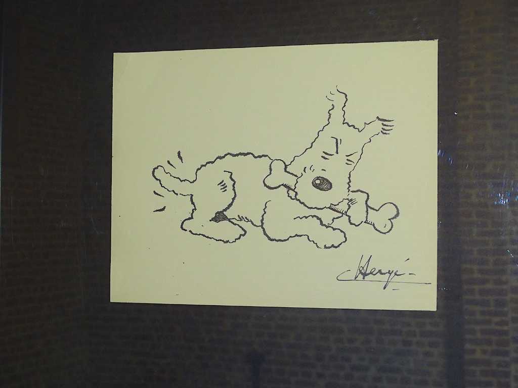 Rysunek piórkiem i tuszem Bobby - Hergé