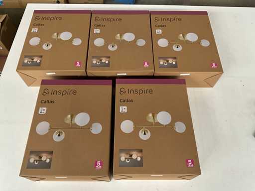 Inspire Callas Deckenleuchte (5x)