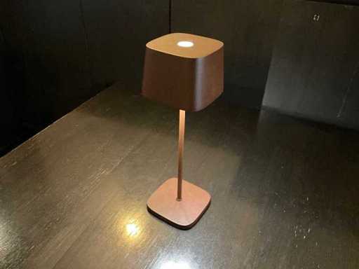 Zafferano Mood Lighting (13x)