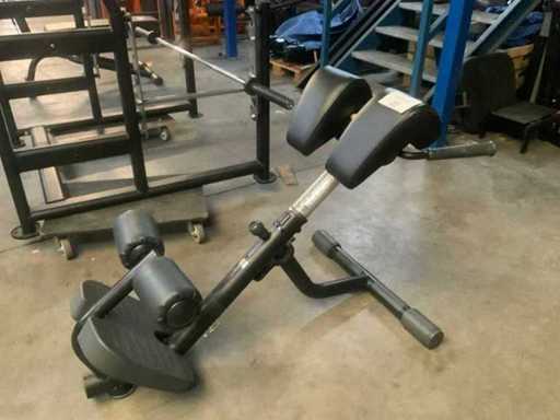 Technogym element hyperextension Krachtstation