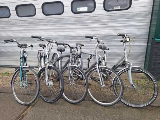 Diverse herenfietsen en damesfiets (5x)