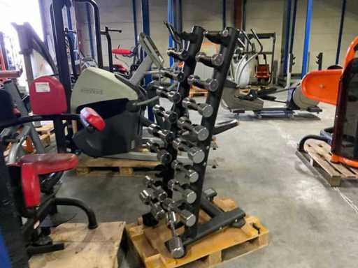 Unbekanntes Hantel-Turm-Paar vermisst Multi-Gym