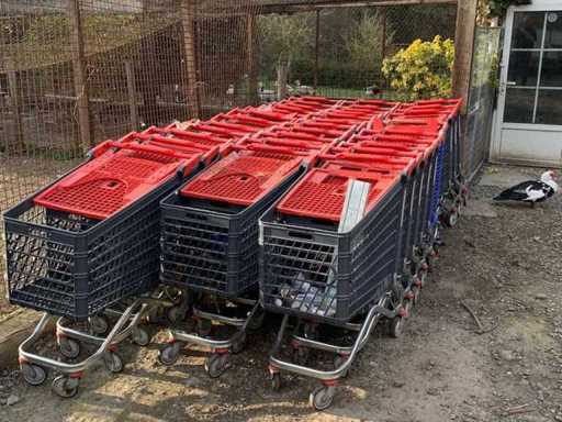 Set van 32 winkelwagens