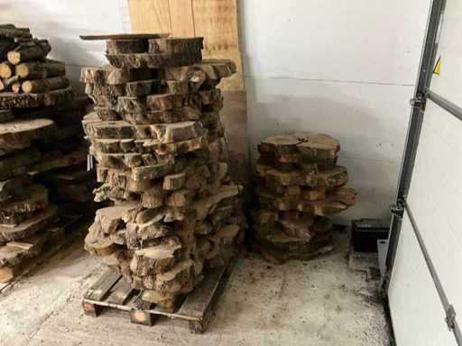 Foglia del tronco d'albero (31x)