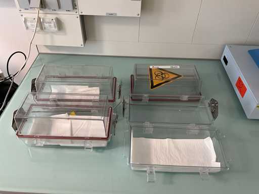 Set mit 4 Kunststoffboxen