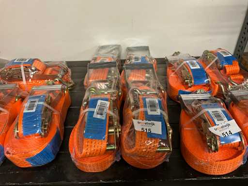 Cinghie a cricchetto per il busto (4x)