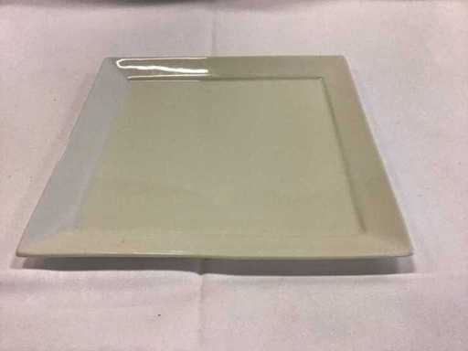 Quadrato di piastre Palmer (50x)