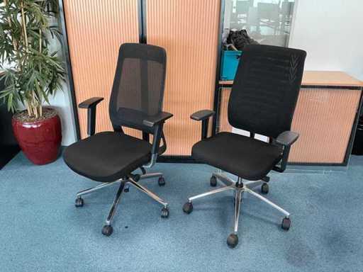 Sedia da ufficio (2x)