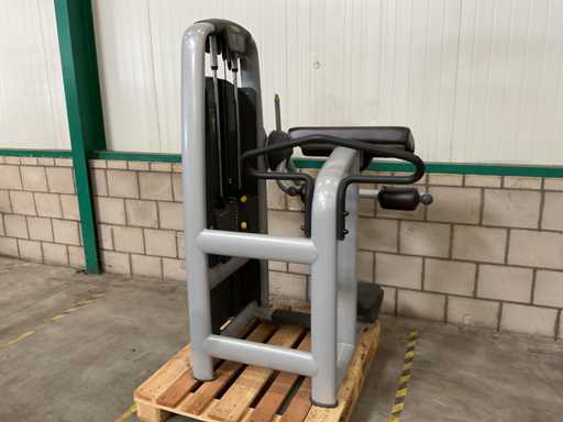 Technogym Selection Glute