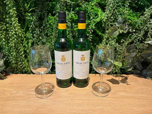 Bouteille de vin blanc (11x)