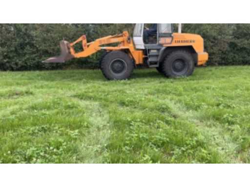 977618b4-5e86-4611-afe8-c74db0ed09b4.mp4