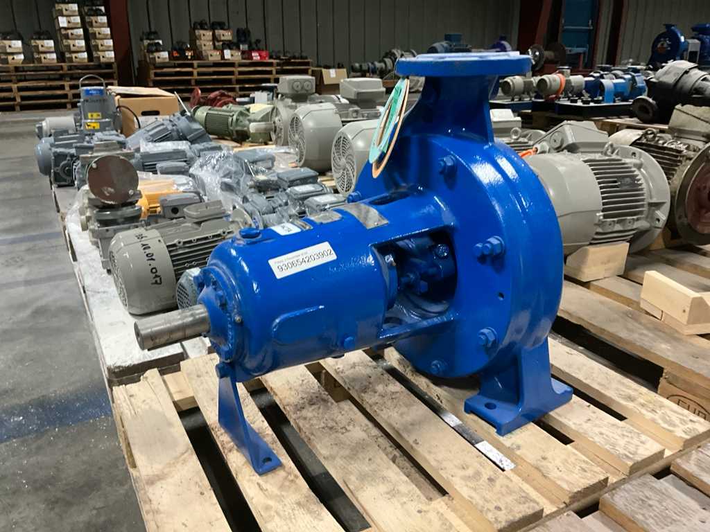 Rodelta ES 80-315 Water Pump