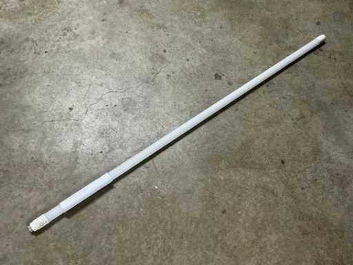 T8 LED TL-buis (20x)