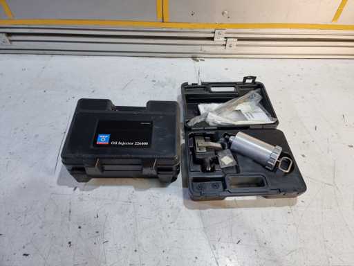 SKF  2X  SKF Oil Injector 226400