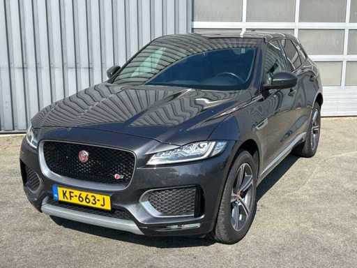 Passenger cars and commercial vehicles