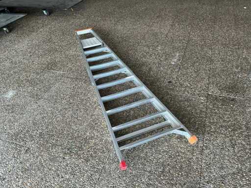 Ivana IVAF-110A Expansion Ladder