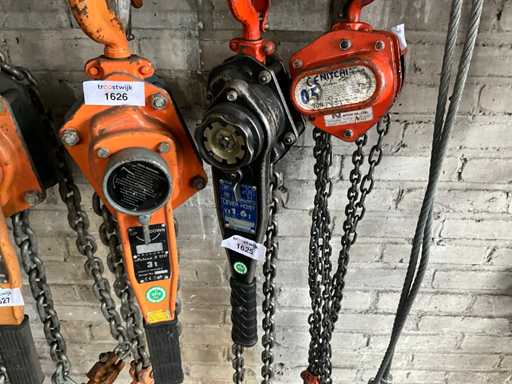 Tenditore del paranco a catena dell'elefante