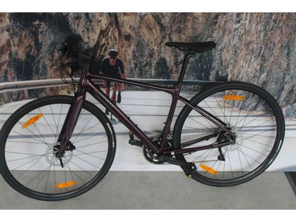 Fiets Giant Fast Road S1