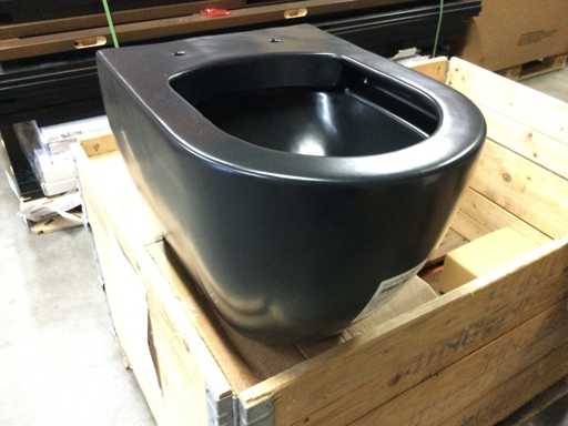 Sanindusa - Sanibold - Dulap montat pe perete f?r? scaun.