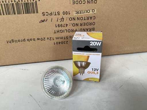 Halogen lamp 12V 20watt (100x)